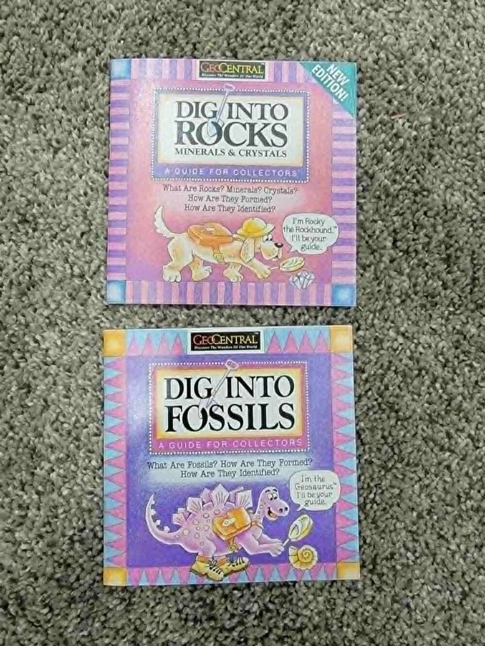 Dig Into Fossils ROCKS Geodes GeoCentral Mini Kid Books Earth Science Homeschool
